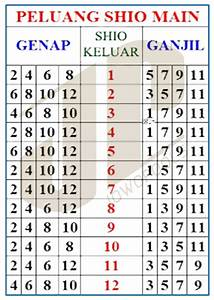 Tebakan Terbalik dalam Betting Macau Shio pada Togel Online